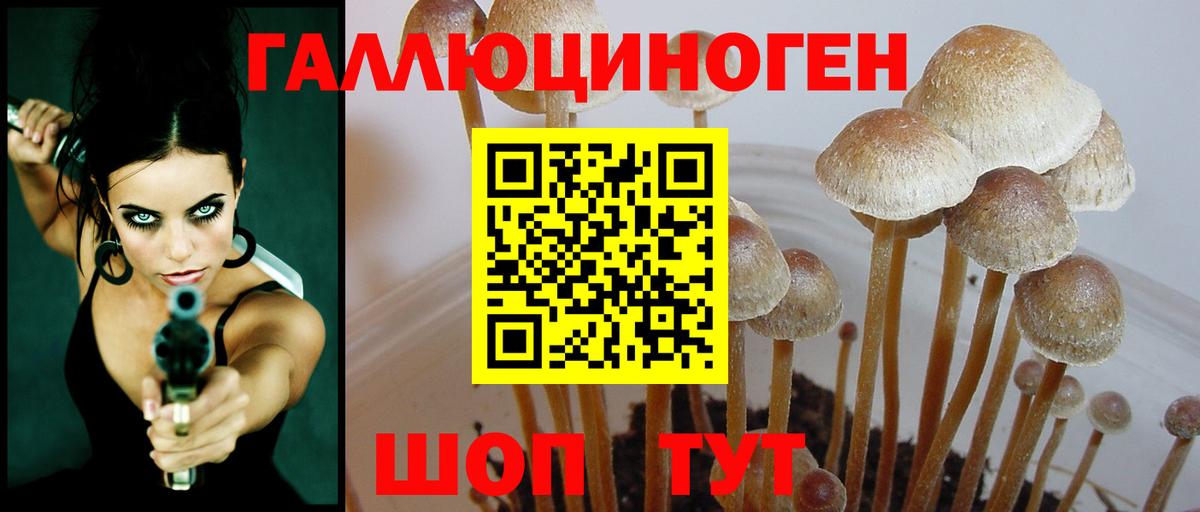 Вольск  Псилоцибиновые грибы мицелий  Вход с VPN  Псилоцибиновые грибы мицелий 